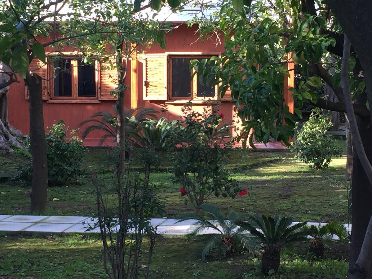 Chalet Paradiso Sorrento Exteriér fotografie